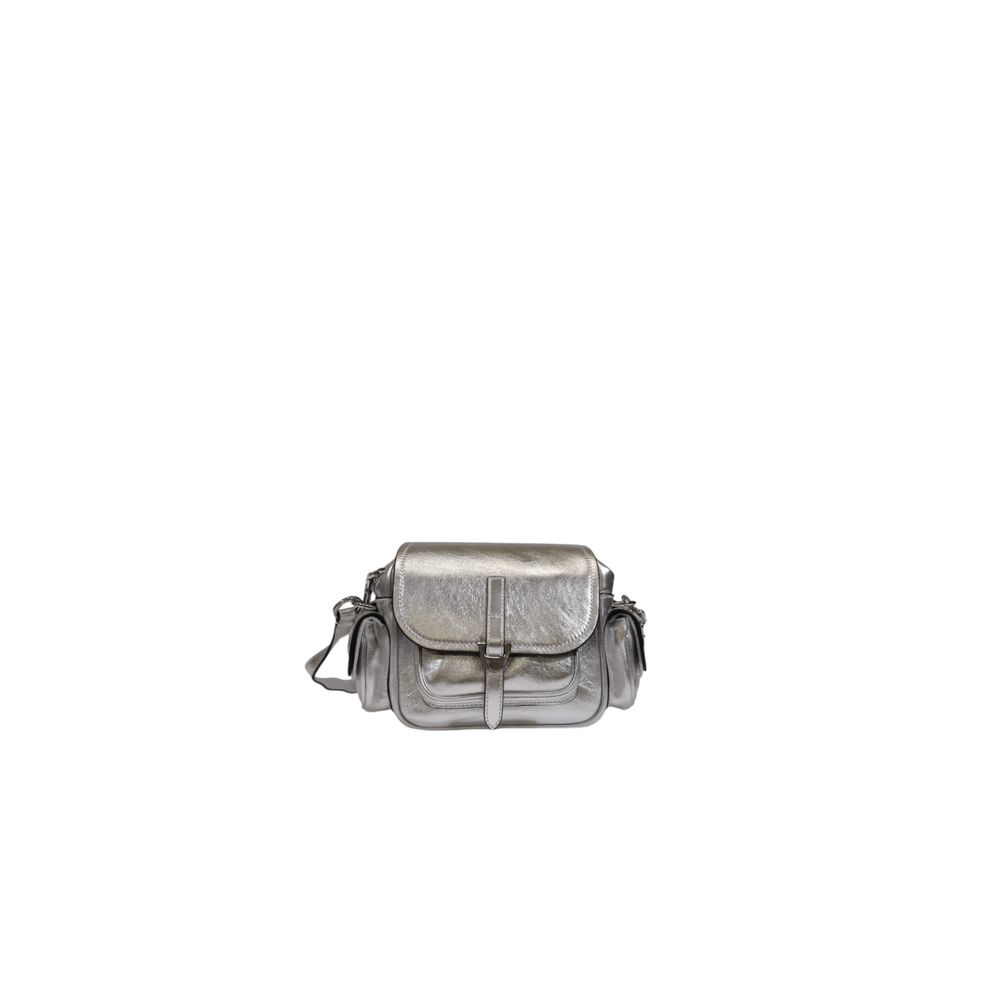 elegant-silver-crossbody-bag-coccinelle